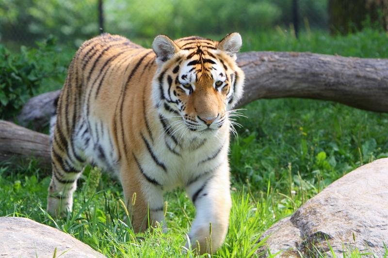 2008-08-05 11.01.30(0002).JPG